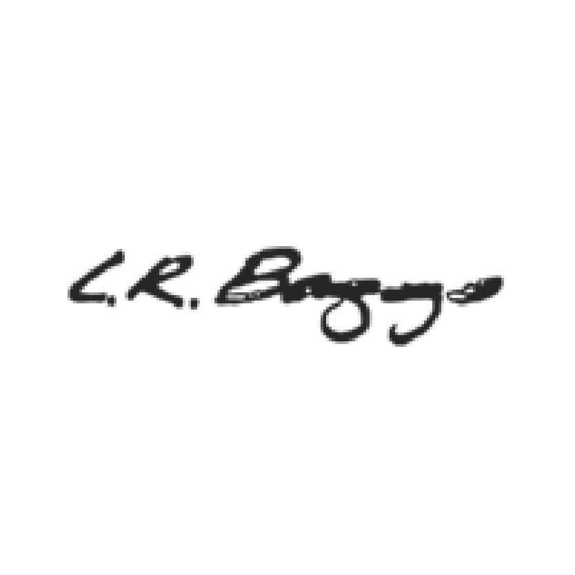 LR Baggs Logo — Sold by One Three Guitar, Richmond, VA