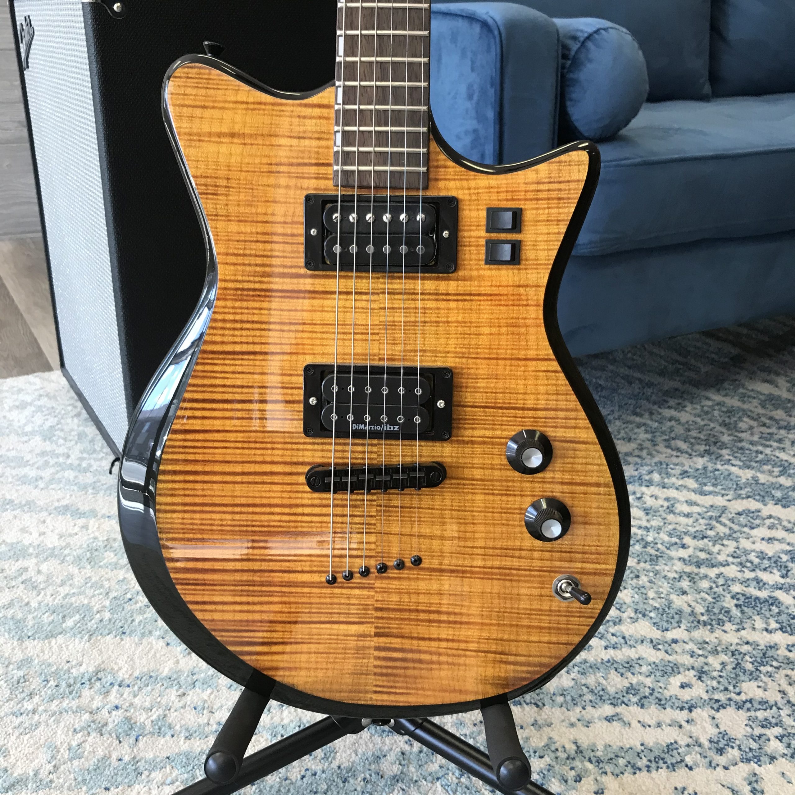 Picture of an Ibanez Jet King 1, body